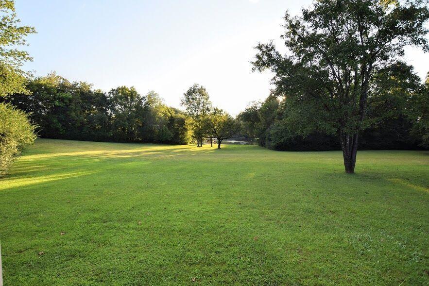 824 Rhea Springs Road Spring City, TN 37381 - Photo 34 of 49 20191639-34