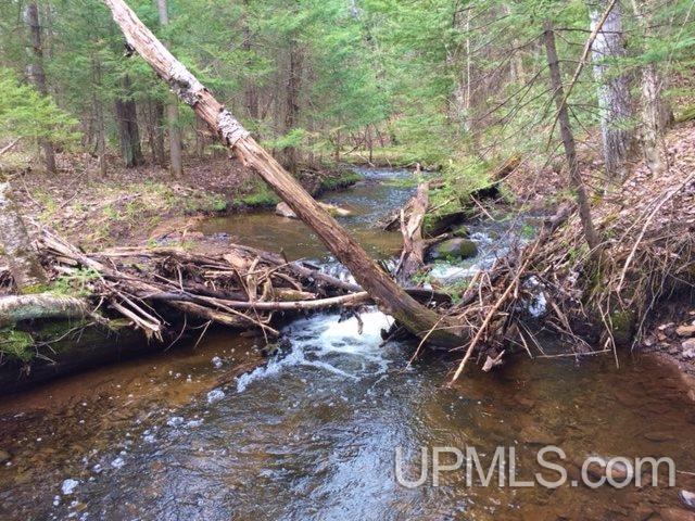 Tbd Carpenter Road Crystal Falls, MI 49920 - Photo 10 of 21