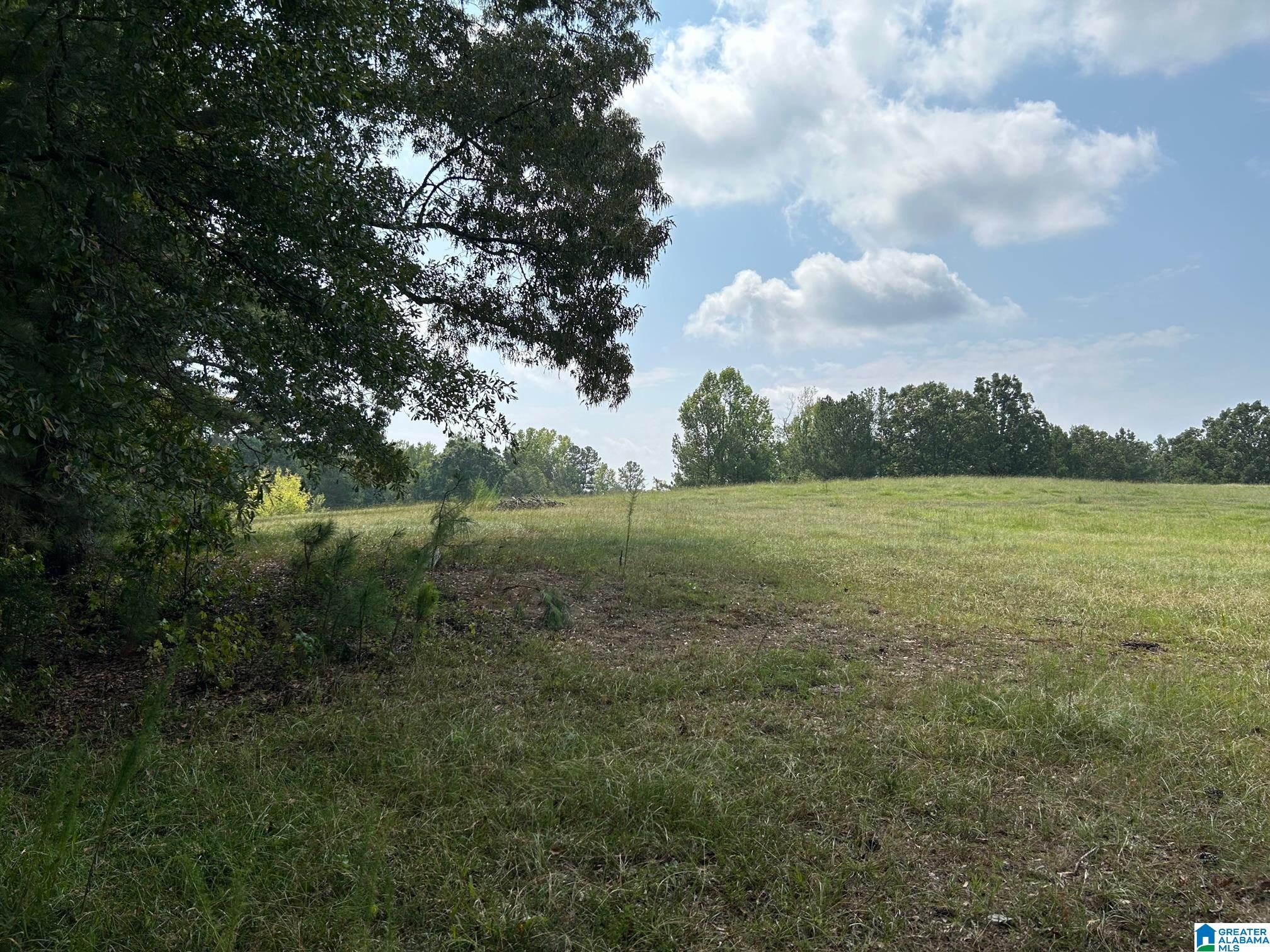 3300 Floyd Road Wellington, AL 36279 - Photo 9 of 11