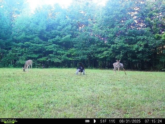 W7512 Poertner Road Neillsville, WI 54456 - Photo 24 of 37
