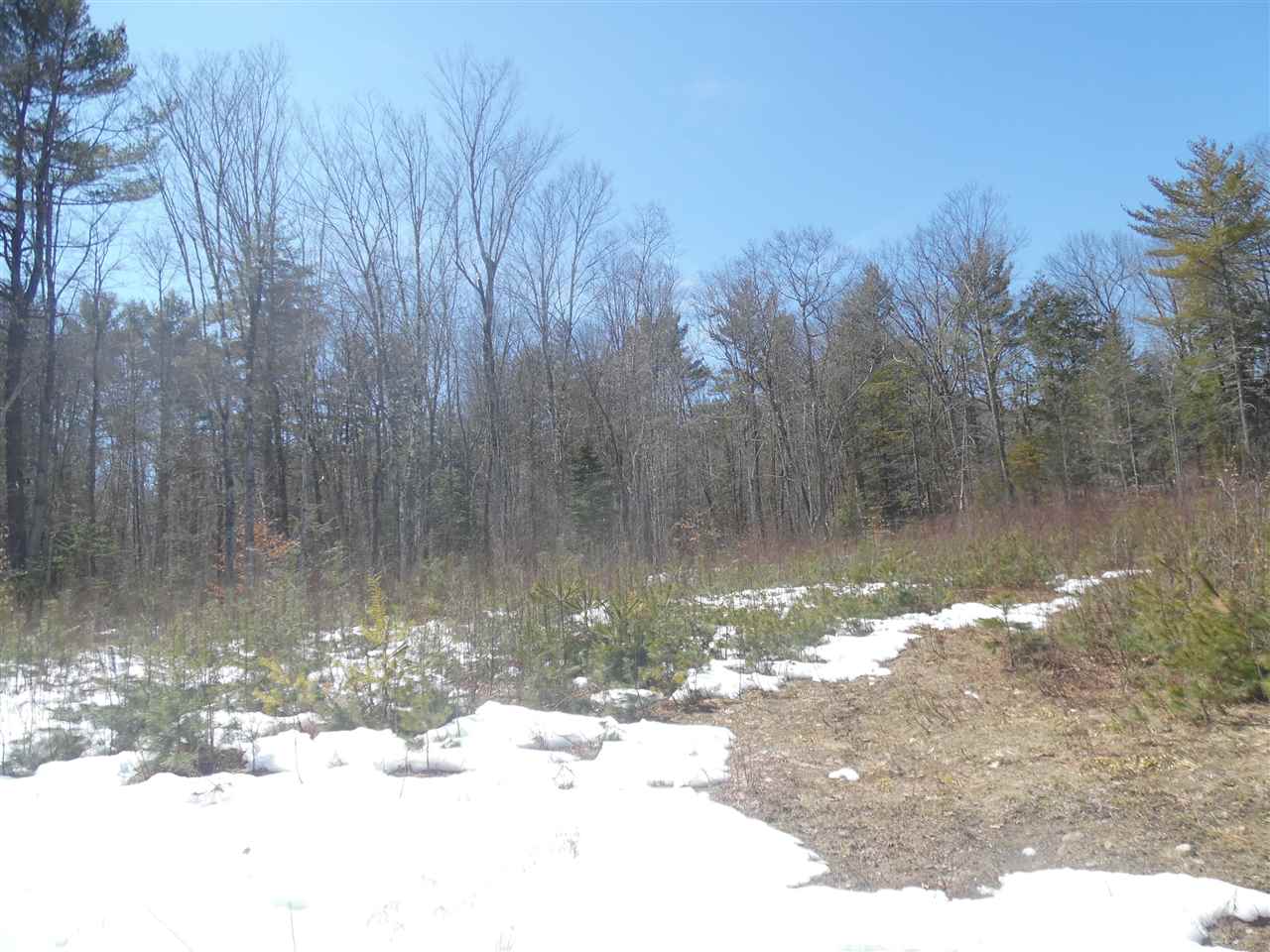 Redwater Road Croydon, NH 03773 - Photo 2 of 10