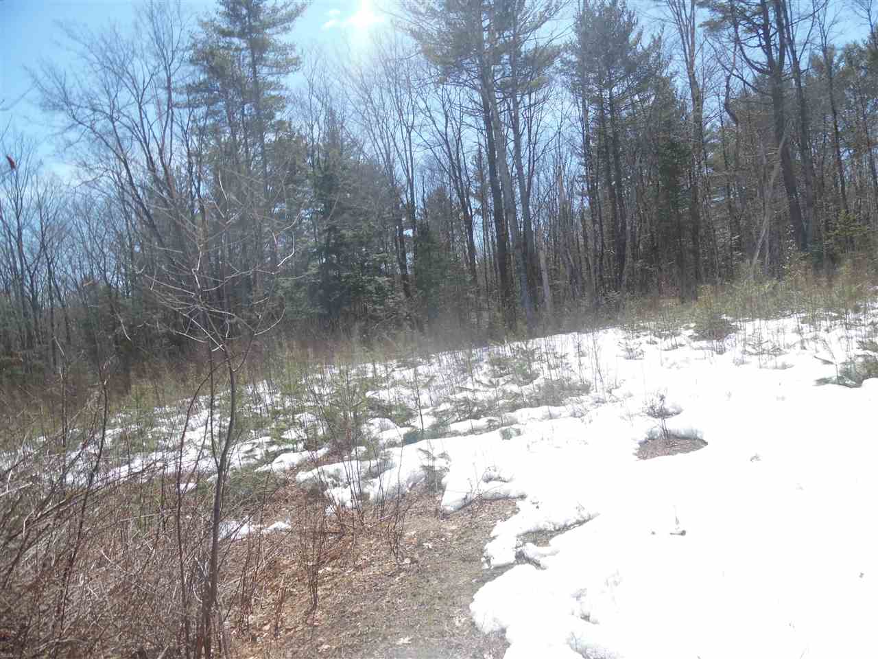 Redwater Road Croydon, NH 03773 - Photo 3 of 10