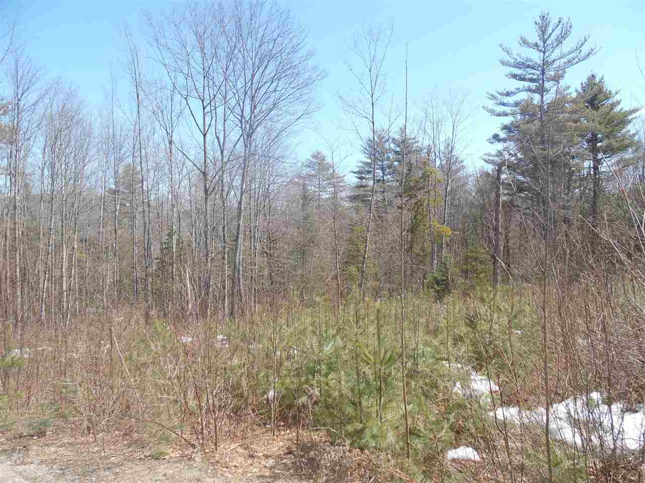 Redwater Road Croydon, NH 03773 - Photo 4 of 10