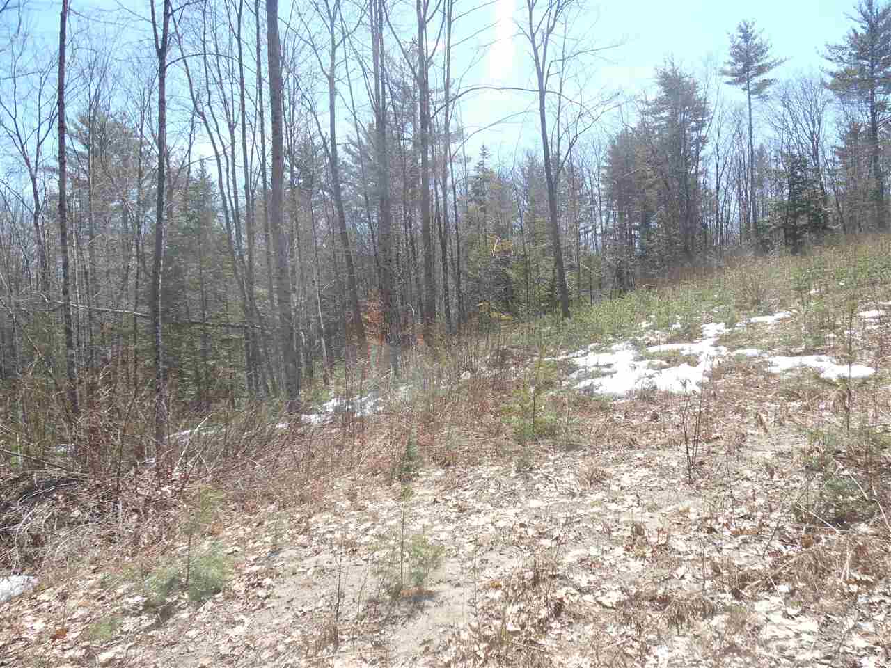 Redwater Road Croydon, NH 03773 - Photo 5 of 10