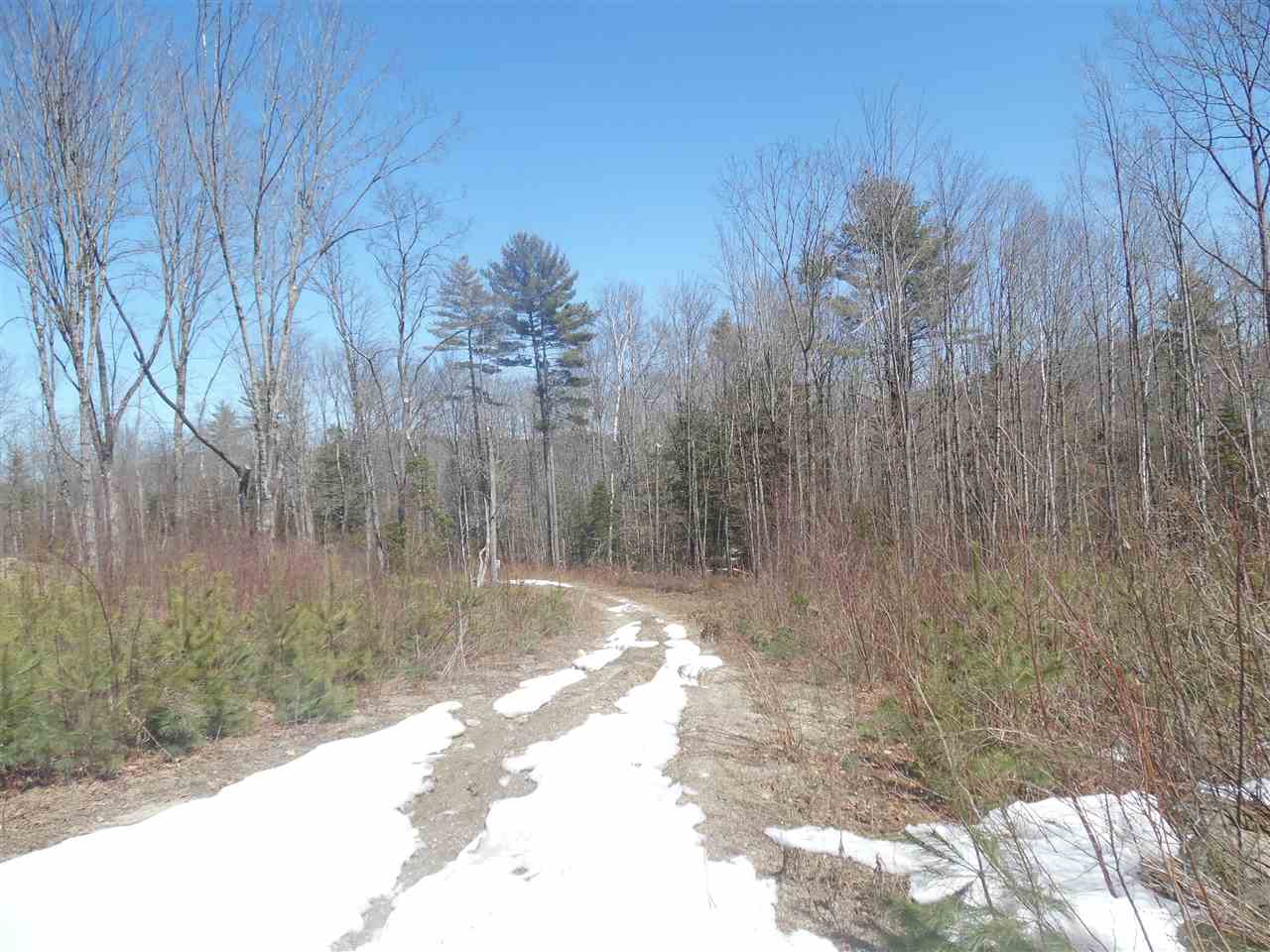 Redwater Road Croydon, NH 03773 - Photo 6 of 10