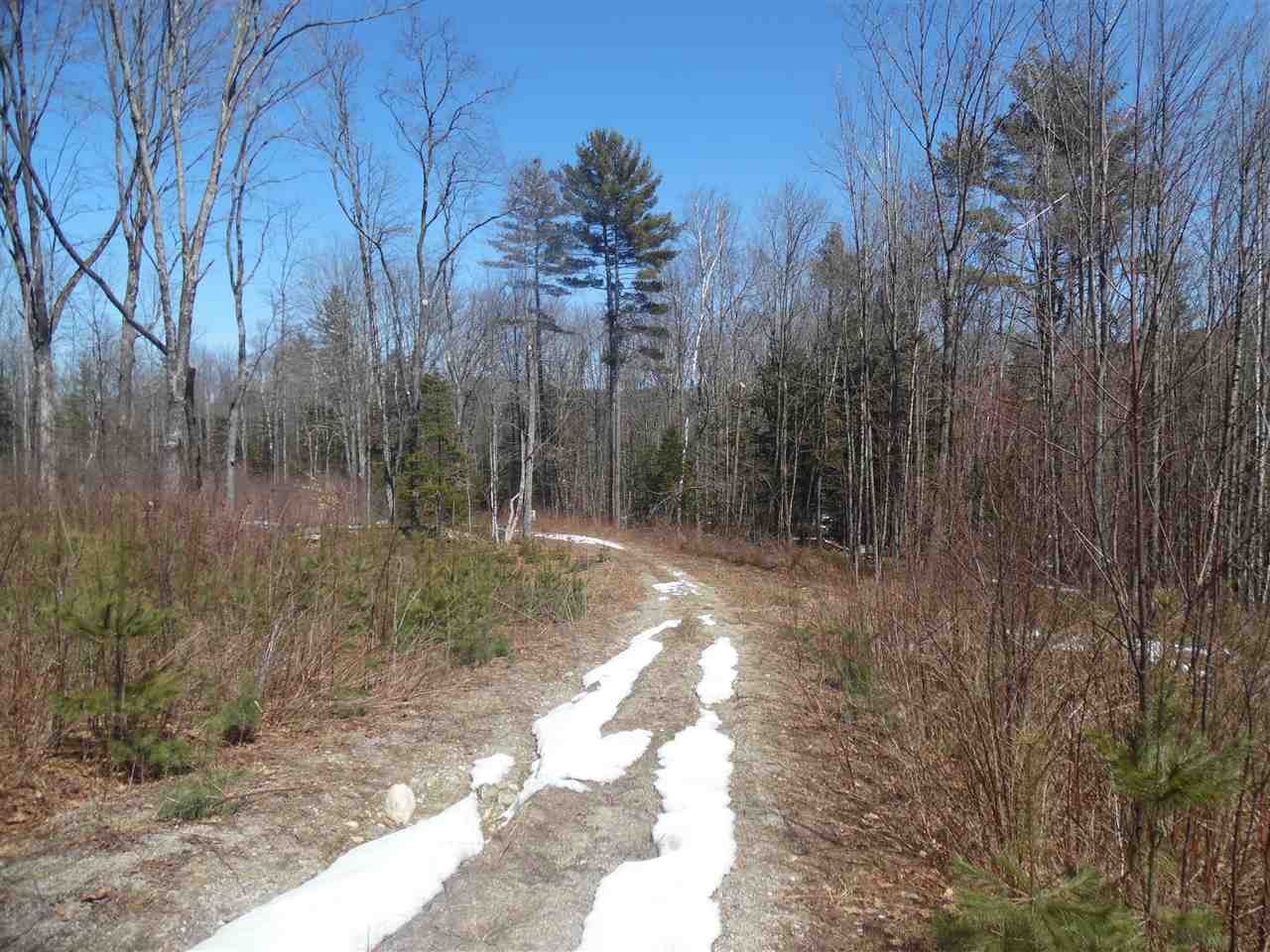 Redwater Road Croydon, NH 03773 - Photo 7 of 10