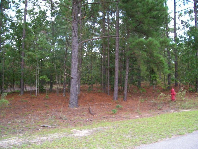 136 Fordtown Road Rockingham, NC 28379 - Photo 1 of 1 Primary Photo