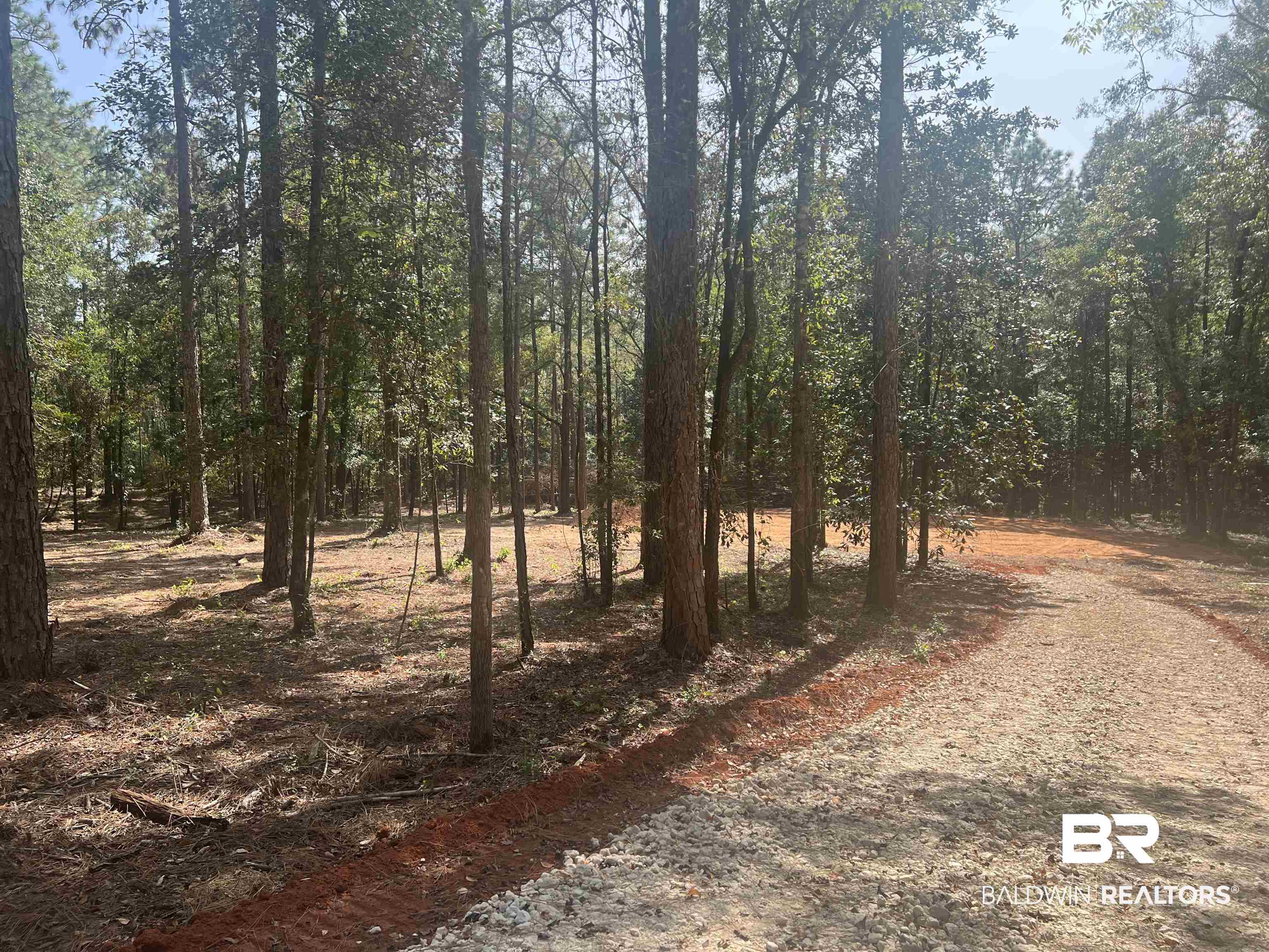 0 Highway 59 Stapleton, AL 36578 - Photo 5 of 5