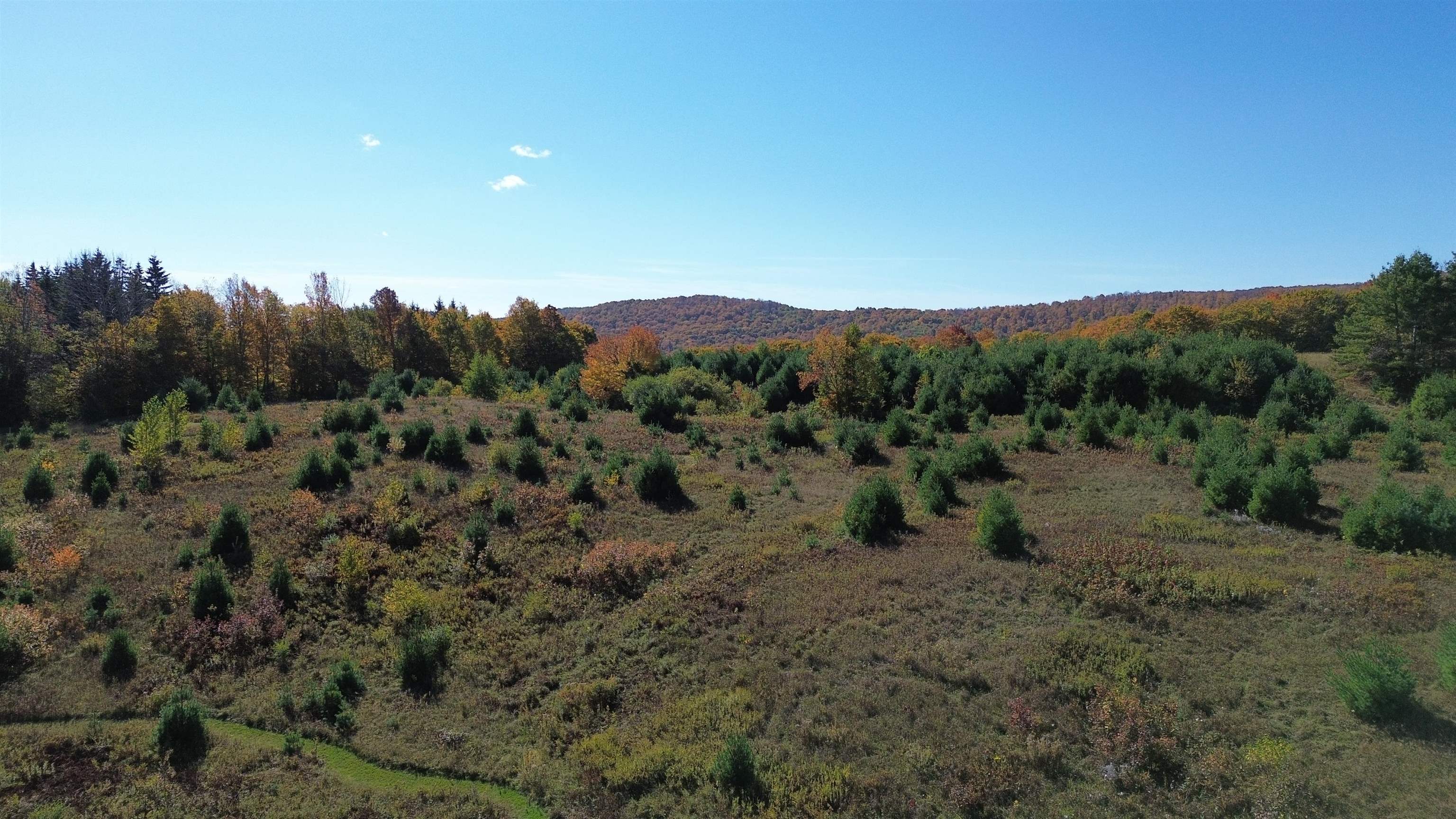 673 Reed Road Vershire, VT 05079 - Photo 55 of 60
