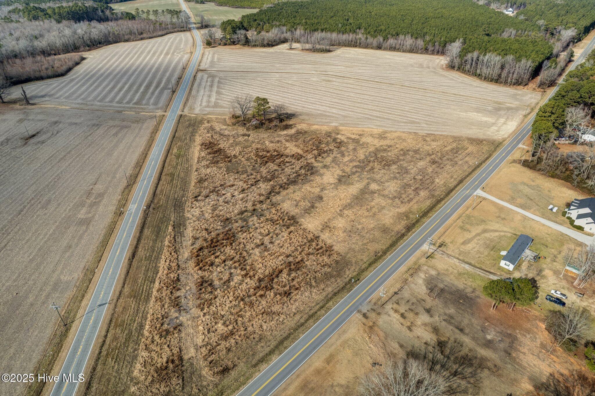 Lot 3 Red Oak Road Whitakers, NC 27891 - Photo 2 of 5 003-RedOakWatsonSeedRd-Whitakers-SMALL