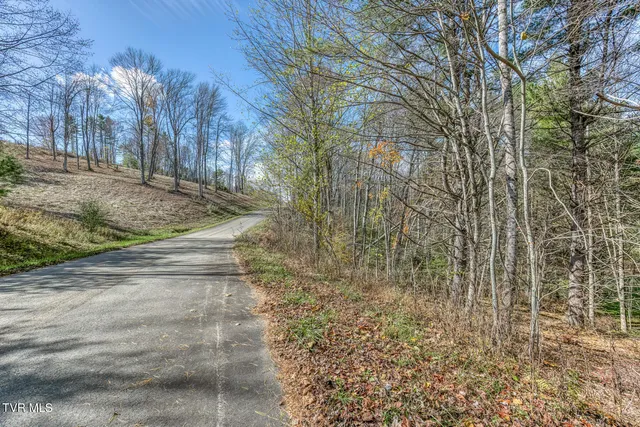 $70,000 | 0 Laurelwood Lane, Unit 31 32, Mountain City, TN 37683