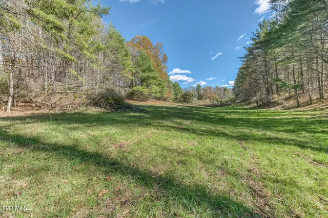 $70,000 | 0 Laurelwood Lane, Unit 31 32, Mountain City, TN 37683