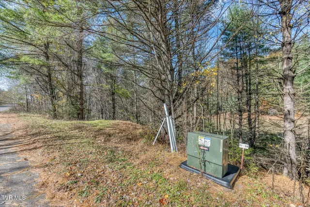 $70,000 | 0 Laurelwood Lane, Unit 31 32, Mountain City, TN 37683