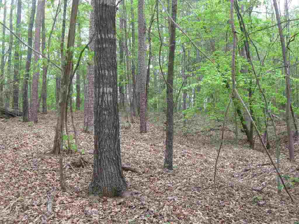 38.39 A Clearmont Road Westminster, SC 29693 - Photo 14 of 16 Gallery Image 14
