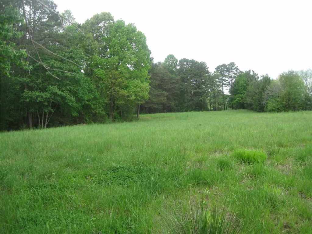 38.39 A Clearmont Road Westminster, SC 29693 - Photo 3 of 16 Gallery Image 3