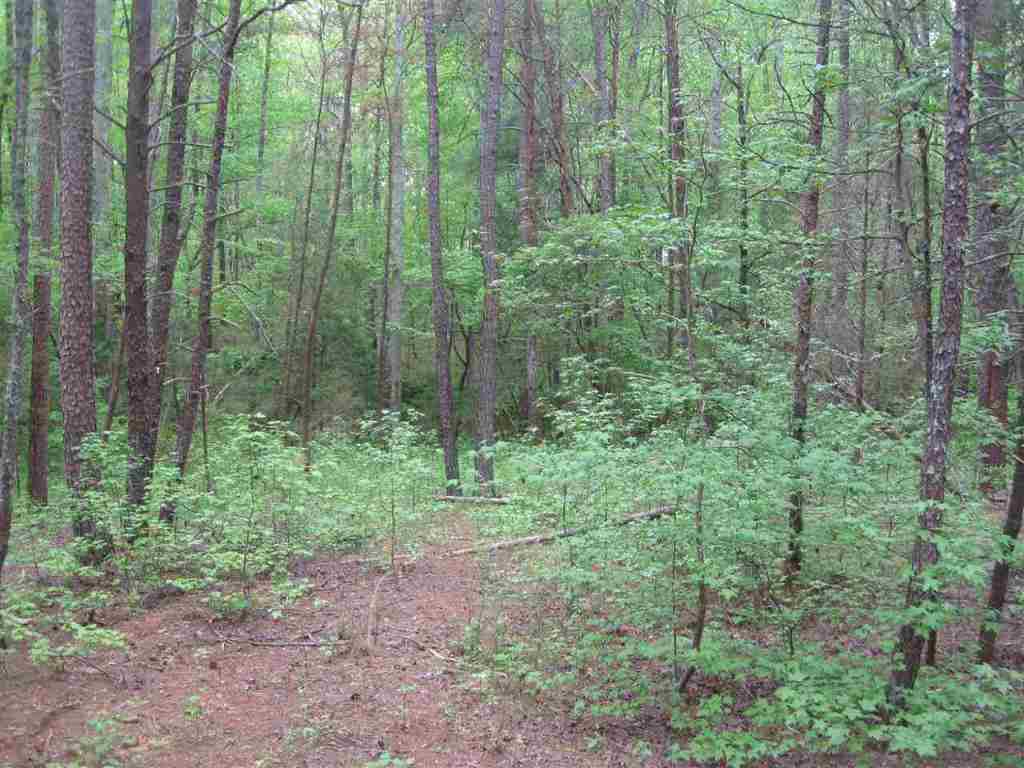 38.39 A Clearmont Road Westminster, SC 29693 - Photo 8 of 16 Gallery Image 8