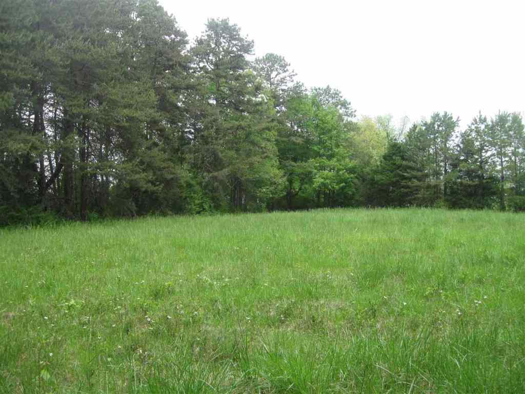 38.39 A Clearmont Road Westminster, SC 29693 - Photo 9 of 16 Gallery Image 9