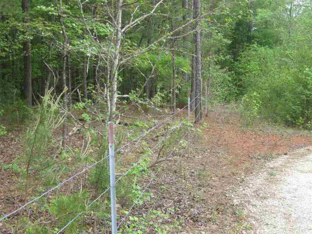 38.39 A Clearmont Road Westminster, SC 29693 - Photo 10 of 16 Gallery Image 10
