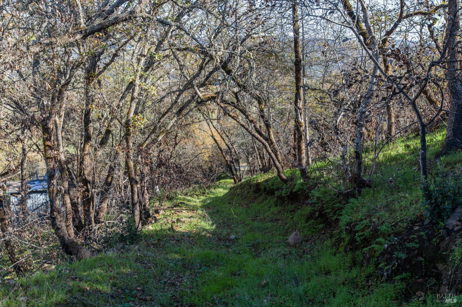 0 Tucker Road Calistoga, CA 94515 - Photo 11 of 14 a backyard of a house with lots of green space