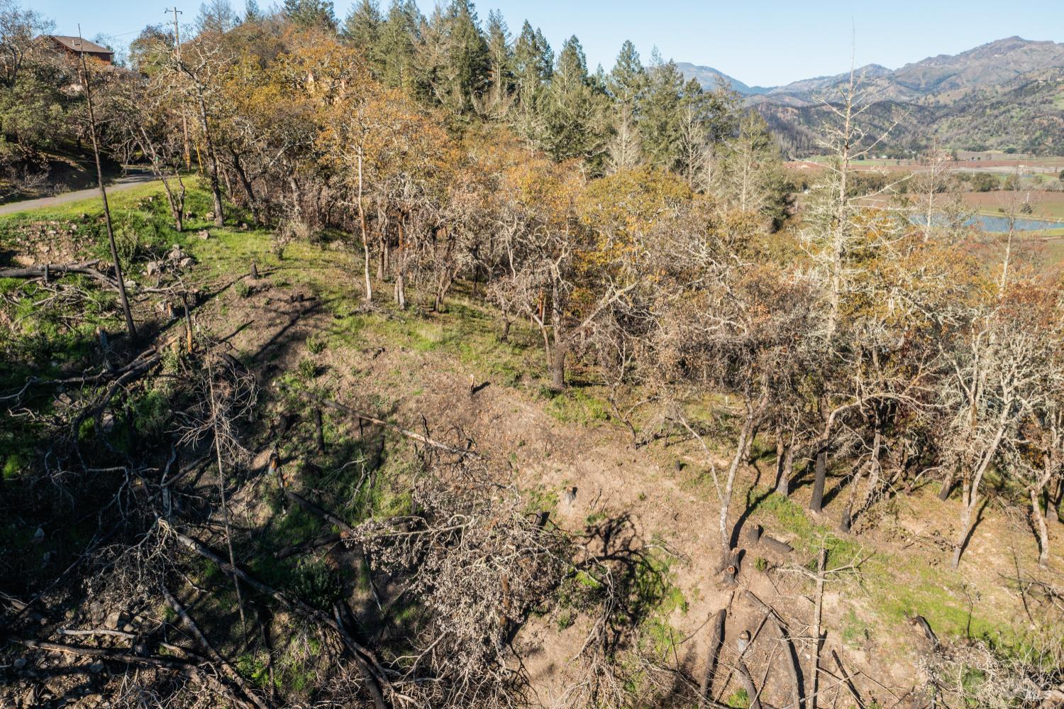 0 Tucker Road Calistoga, CA 94515 - Photo 12 of 14 a view of a field with a tree in the background