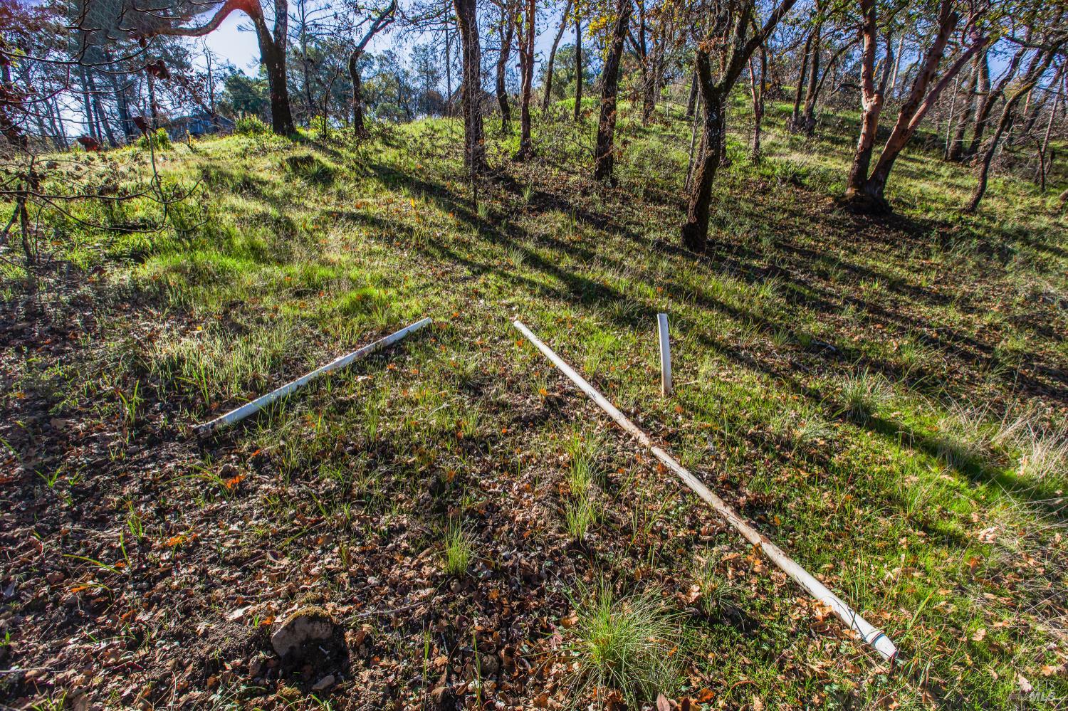 0 Tucker Road Calistoga, CA 94515 - Photo 2 of 14 a view of a yard with wooden fence