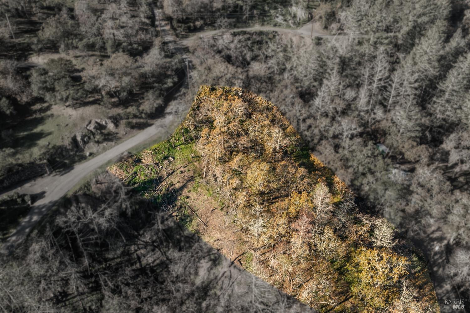 0 Tucker Road Calistoga, CA 94515 - Photo 7 of 14 a view of a forest with a building