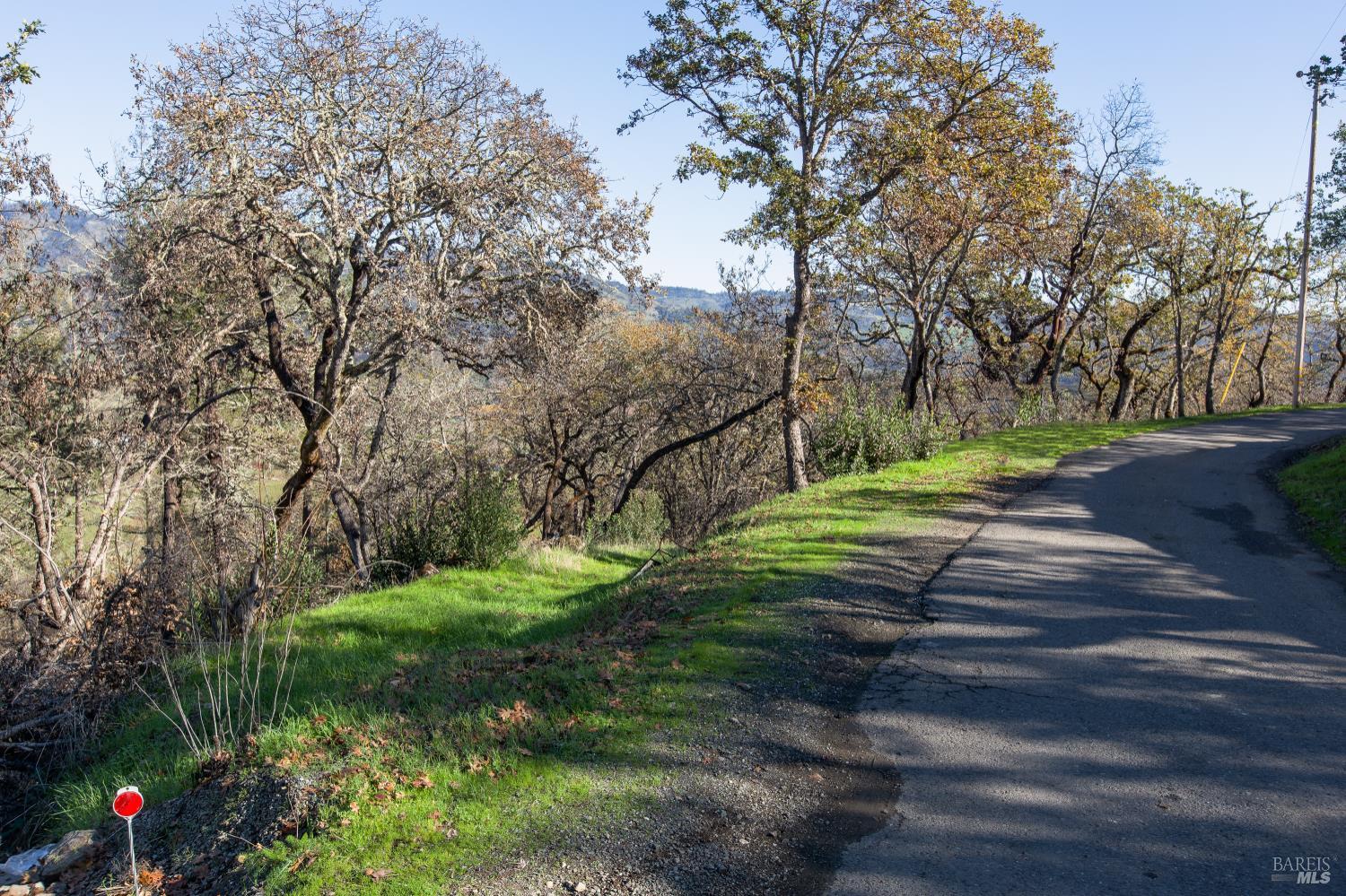0 Tucker Road Calistoga, CA 94515 - Photo 9 of 14 a view of a park with large trees