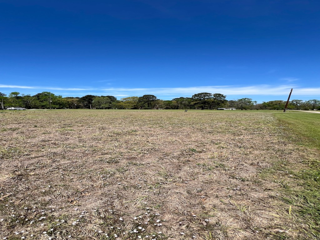 Tbd Liendo Drive Trinity, TX 75862 - Photo 10 of 13 a view of lake and mountain