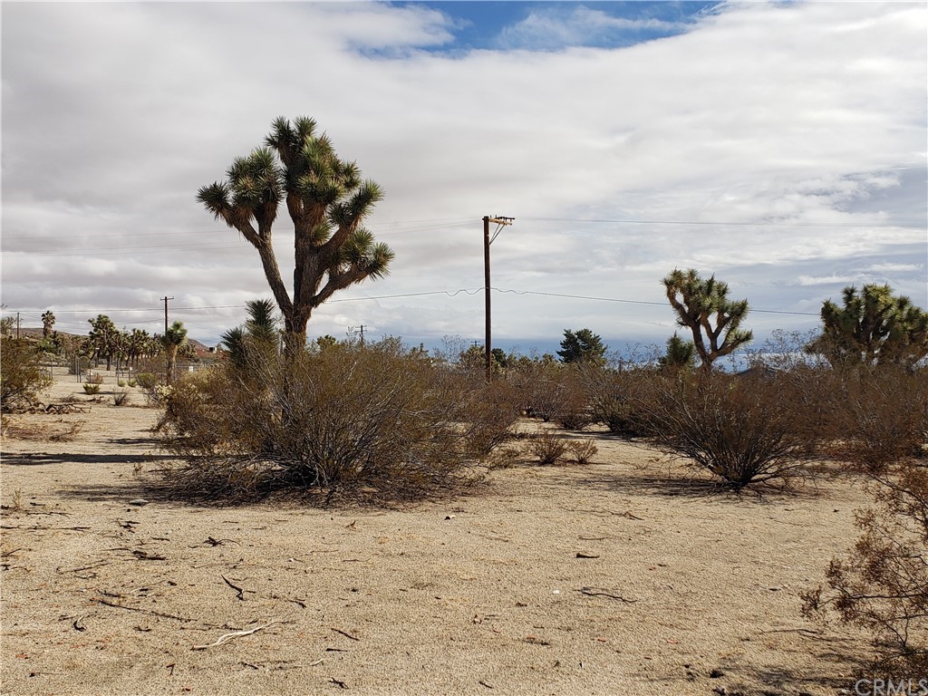 0 Warren Way Yucca Valley, CA 92284 - Photo 1 of 1 a view of a dry yard with a tree