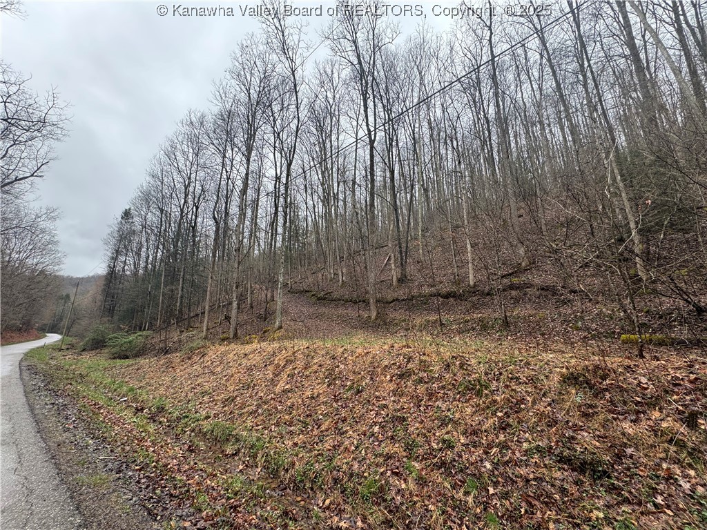 0 Groves-Wattsville Road Ivydale, WV 25113 - Photo 18 of 29 Gallery Image 18