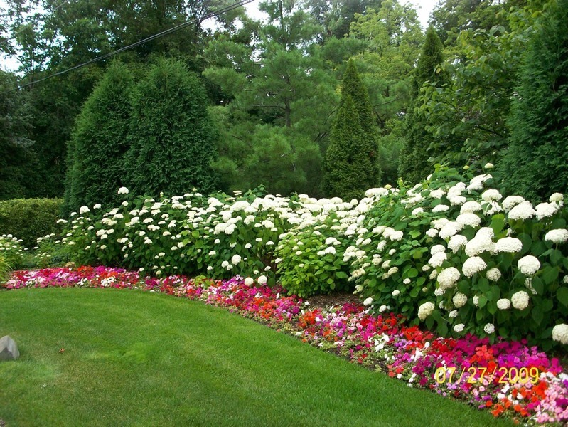 340 Old Farm Road Northfield, IL 60093 - Photo 4 of 50 a view of a flower in a garden