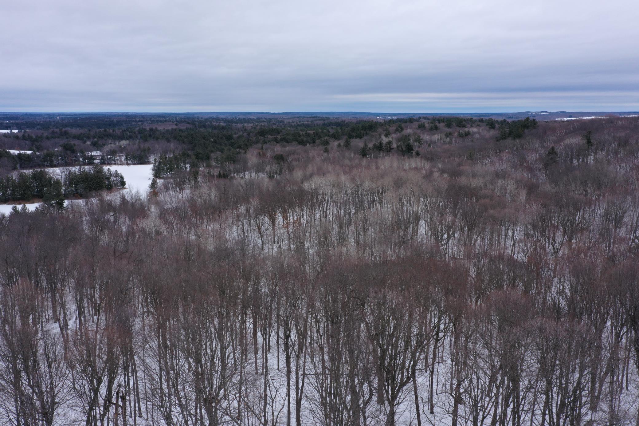 Lot 1 Whispering Pines Road Frederic, WI 54837 - Photo 6 of 8