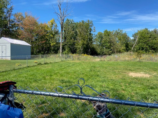 92 Irish Settlement Road Plattsburgh, NY 12901 - Photo 13 of 15 Gallery Image 13