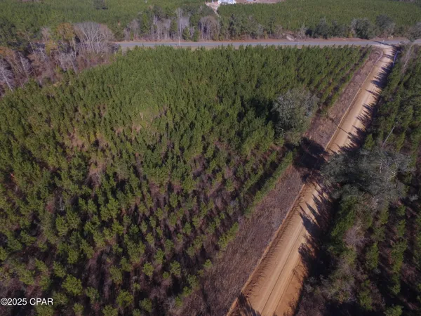 $48,875 | Tbd Lot 4 Tbd Road, Cottondale, FL 32431