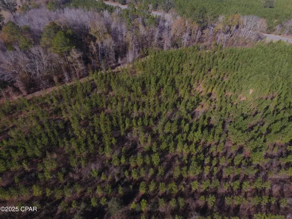 $48,875 | Tbd Lot 4 Tbd Road, Cottondale, FL 32431