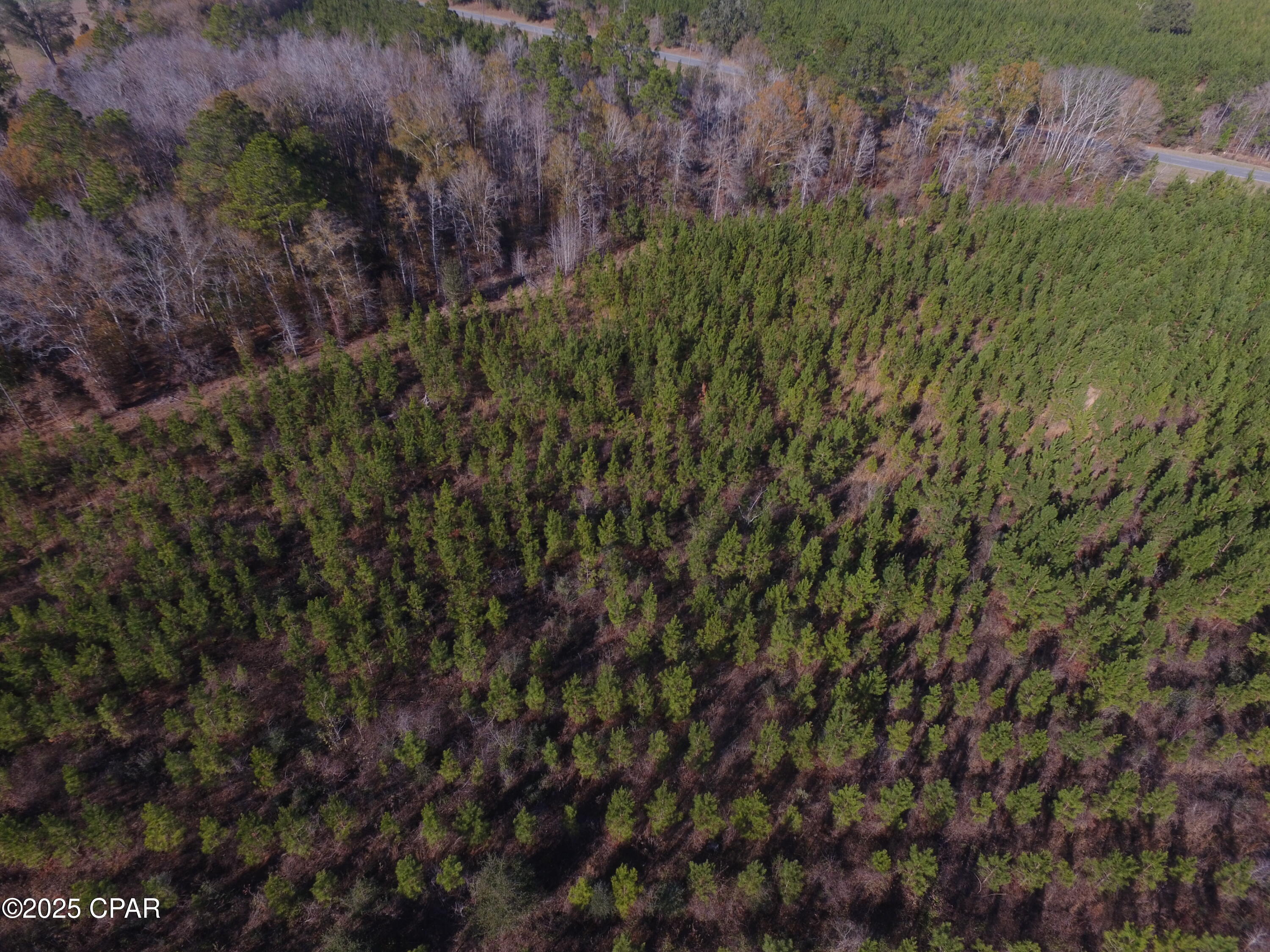 Tbd Lot 4 Tbd Road Cottondale, FL 32431 - Photo 11 of 20