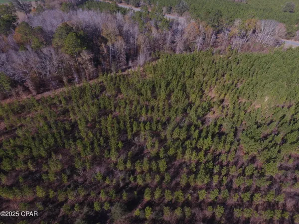 $48,875 | Tbd Lot 4 Tbd Road, Cottondale, FL 32431
