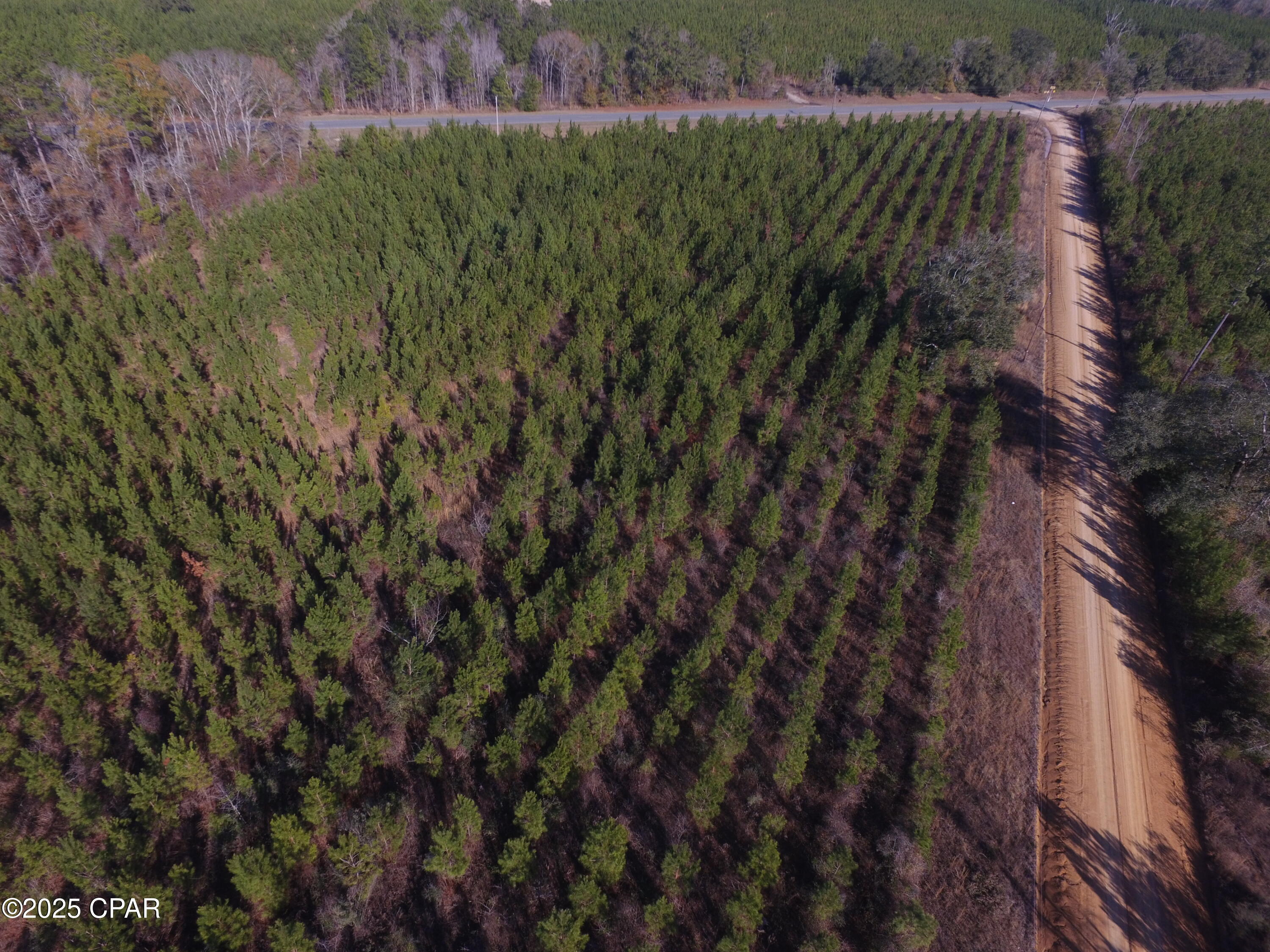 Tbd Lot 4 Tbd Road Cottondale, FL 32431 - Photo 15 of 20