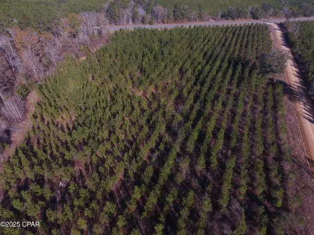 $48,875 | Tbd Lot 4 Tbd Road, Cottondale, FL 32431