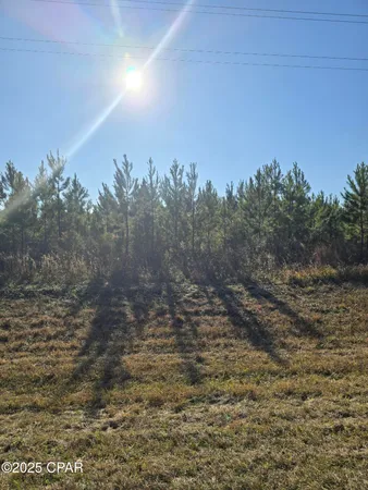 $48,875 | Tbd Lot 4 Tbd Road, Cottondale, FL 32431