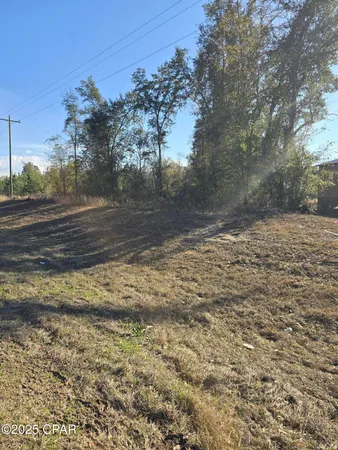$48,875 | Tbd Lot 4 Tbd Road, Cottondale, FL 32431