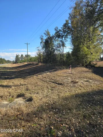 $48,875 | Tbd Lot 4 Tbd Road, Cottondale, FL 32431