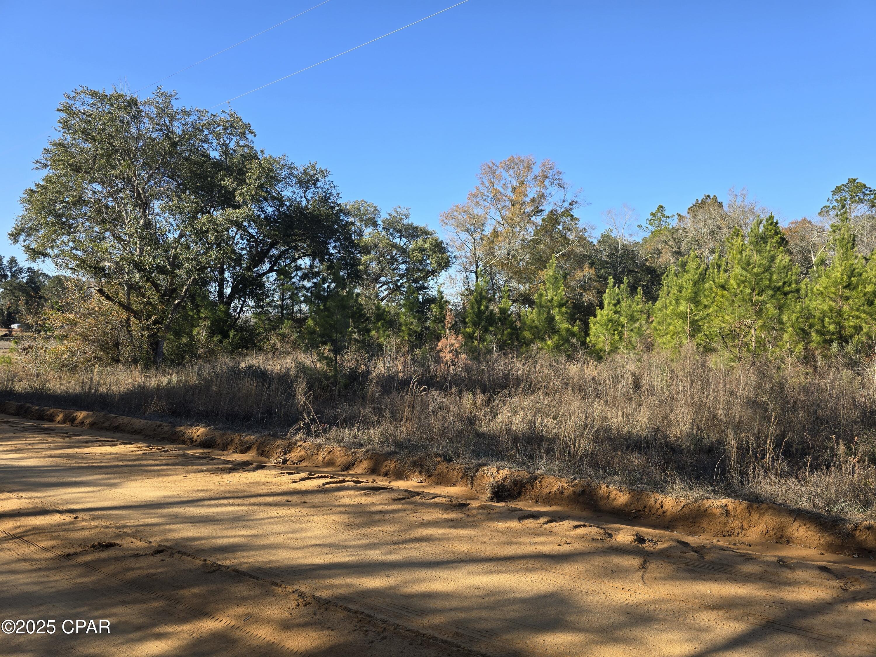 Tbd Lot 4 Tbd Road Cottondale, FL 32431 - Photo 5 of 20