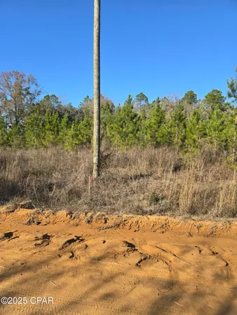 $48,875 | Tbd Lot 4 Tbd Road, Cottondale, FL 32431
