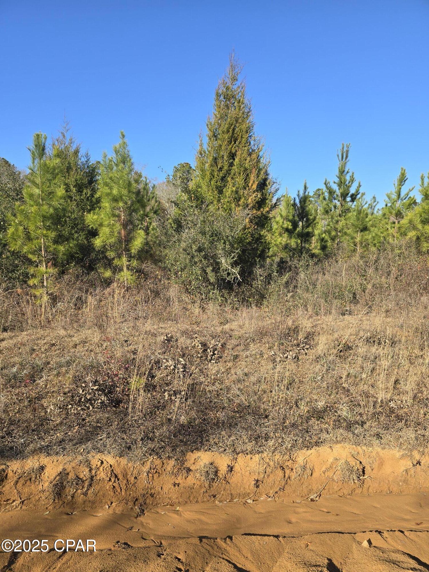 Tbd Lot 4 Tbd Road Cottondale, FL 32431 - Photo 7 of 20