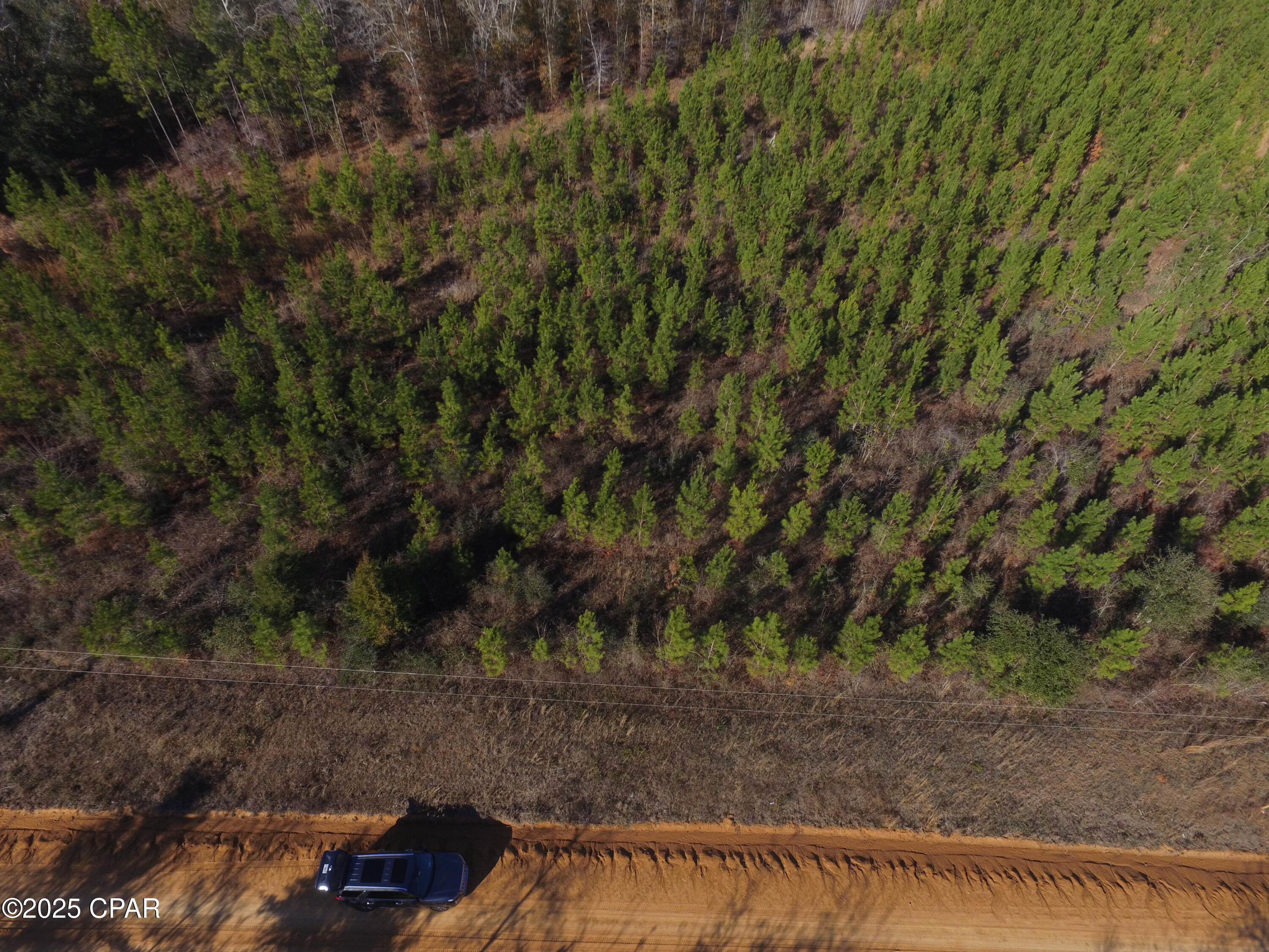 Tbd Lot 4 Tbd Road Cottondale, FL 32431 - Photo 9 of 20