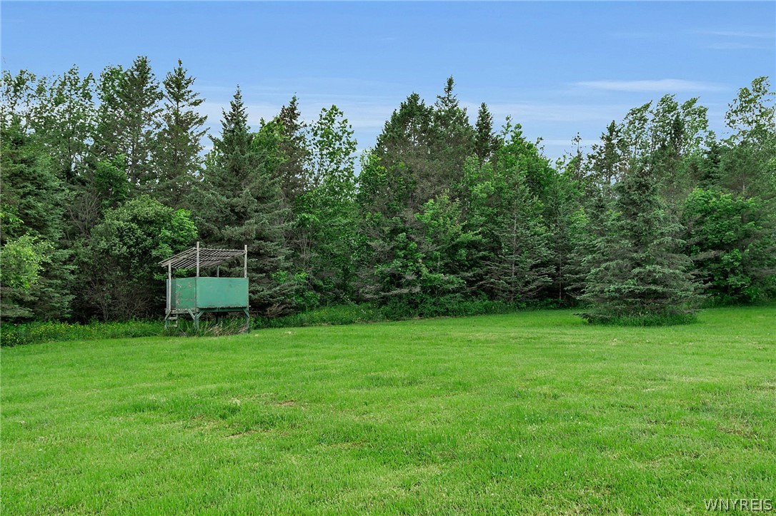 7632 Lyonsburg Road Eagle, NY 14024 - Photo 12 of 43
