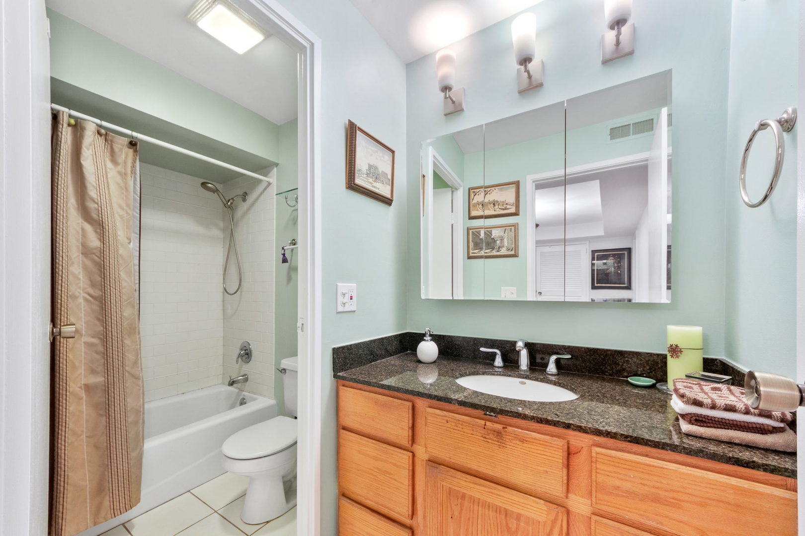 8559 West Rascher Avenue, Unit 3N Chicago, IL 60656 - Photo 11 of 15 a bathroom with a granite countertop sink toilet and shower