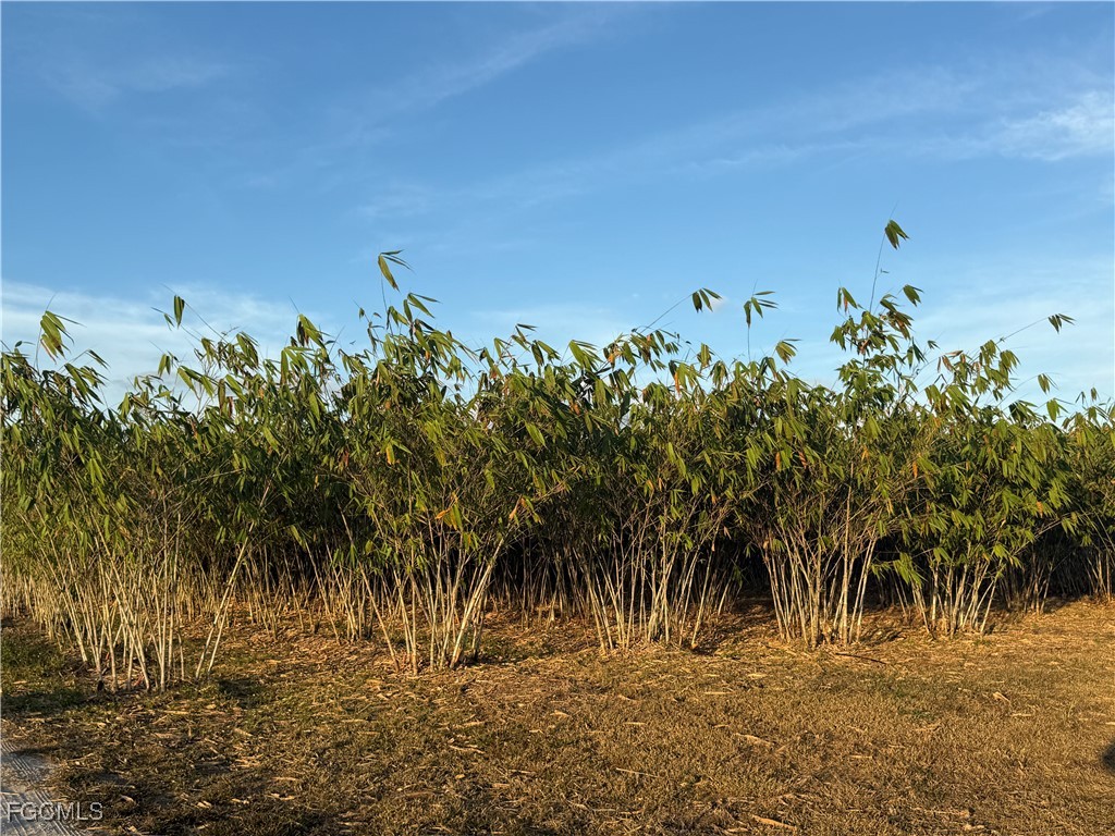 6724 5th Road LaBelle, FL 33935 - Photo 9 of 29 a view of a lake