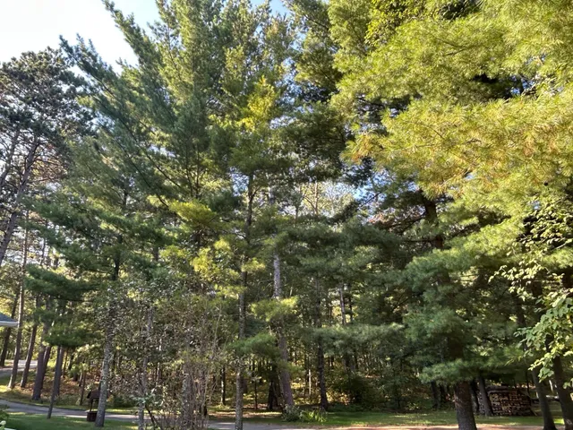 $264,900 | 23650 Glory Trail, Park Rapids, MN 56470